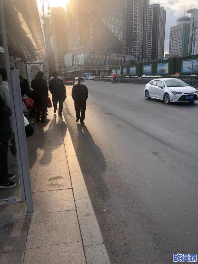 公交车颠簸与运动的区别在哪？深入分析两者对乘客体验和身体感受的影响及其科学原理