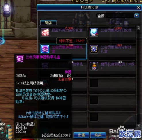 DNF游戏中应该如何选择装备进行强化以提升战斗力