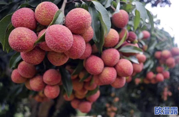 51今日热门吃瓜娜娜：在这个信息爆炸的时代，如何理性看待网络热点事件成为了每个人都需要思考的问题