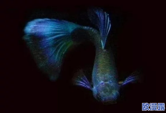 蛇王的尾巴高ah：网友热议这一现象，认为其背后可能隐藏着深刻的文化寓意与生态警示，引发广泛讨论