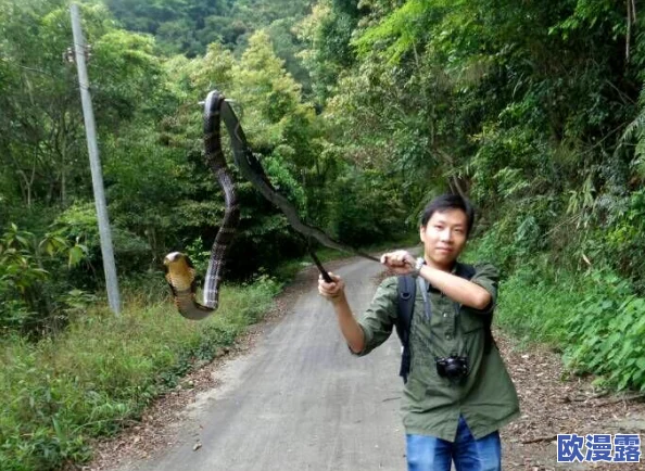 蛇王的尾巴高ah：网友热议这一现象，认为其背后可能隐藏着深刻的文化寓意与生态警示，引发广泛讨论