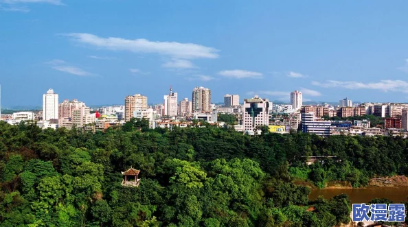 亚洲精品一线二线三线四线五线：探讨中国城市发展与经济差异的多维度分析及其对社会结构的影响