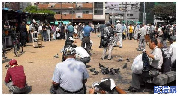 日本公妇乱婬XXXⅩ：事件最新进展与社会反响分析，揭示背后深层次问题及影响