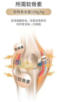 糖心短视频vlog柠檬猫类似，带你走进可爱猫咪的日常生活与趣味瞬间，感受温馨与欢乐的时光