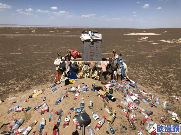 无人区3DMAX：虚拟现实技术在极限环境下的应用与发展进展分析