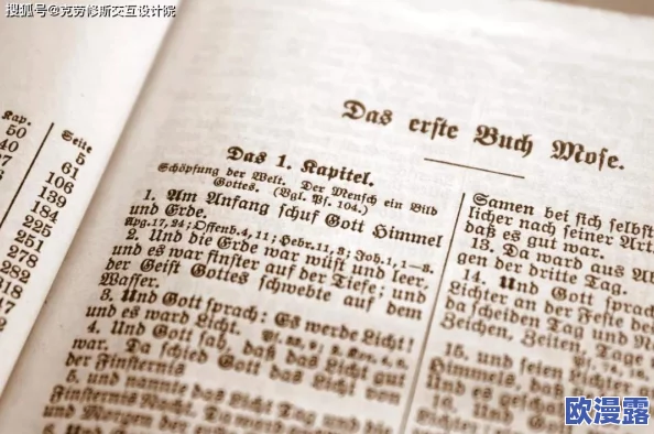 高义日白洁：探讨当代文学中道德与情感的交织及其对社会价值观的影响