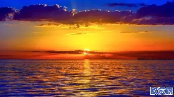 全面假日海滩日出观赏攻略高清详解版下载指南