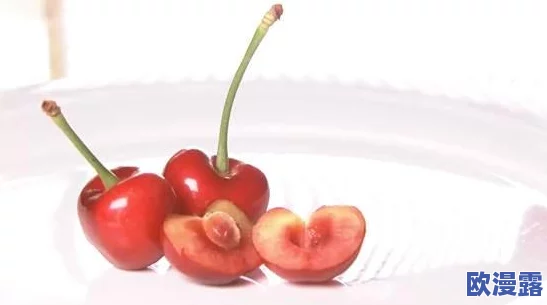 樱桃黄色视频：一款以成人内容为主的在线视频平台，提供多种类型的视频资源，吸引了大量用户关注与使用