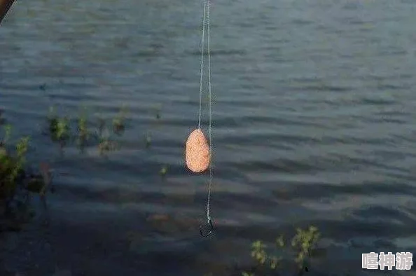 暗喻幻想下的钓鱼技巧:如何巧妙选择垂钓策略与地点 暗喻幻想下的钓鱼技巧:如何巧妙选择垂钓策略与地点