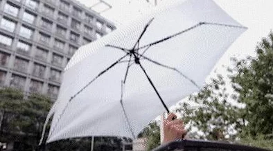 一晚上8个小雨伞：城市突遭暴雨，市民纷纷求助应对恶劣天气的趣事与挑战