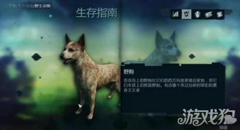 探究野狗子裂头怪:单机游戏还是网络游戏?详细类型介绍 探究野狗子裂头怪:单机游戏还是网络游戏?详细类型介绍
