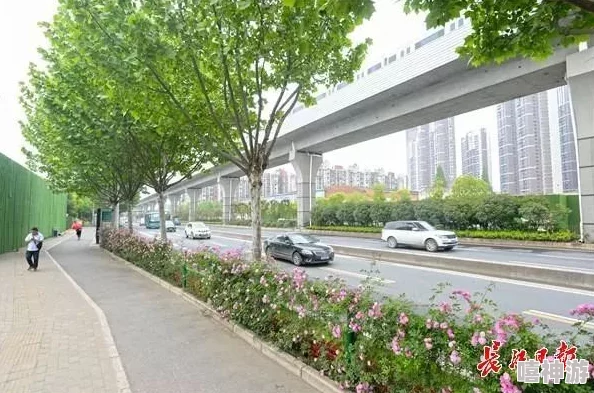 荫道BBwBBw:探讨城市绿化对街道生态环境的重要性及其对居民心理健康的积极影响 荫道BBwBBw:探讨城市绿化对街道生态环境的重要性及其对居民心理健康的积极影响