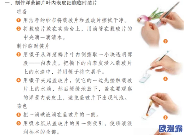 生物老师亲自向我们展示自己：深入了解细胞结构与功能的精彩互动教学体验
