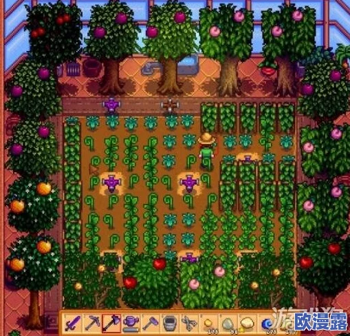 星露谷物语中：甜瓜与蓝莓，哪个作物更适合种植与发展？