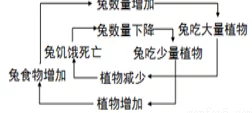 和平精英女生的母乳到底有多白？从生物学角度分析其成分与色泽变化的研究报告