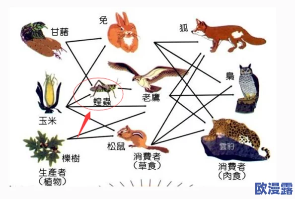 无量蝠没了：分析其生态角色消失对环境的潜在影响及保护措施的必要性