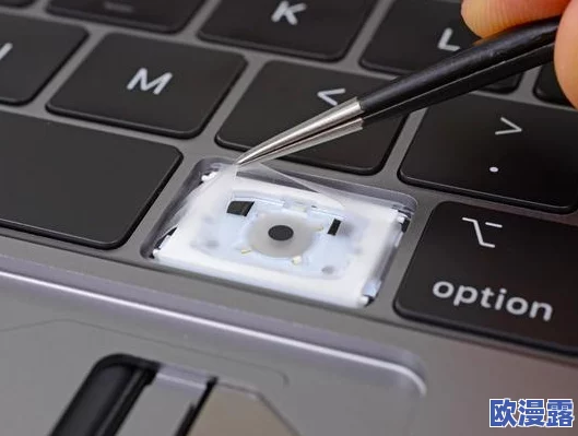 MacBook Pro高清线最新进展：提升显示效果与连接稳定性，满足专业用户需求的全新选择