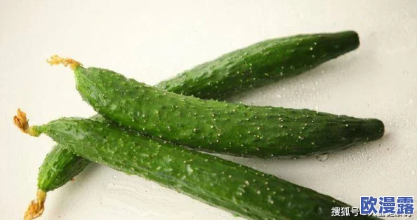 草莓香蕉榴莲黄瓜丝瓜茄子：多种水果与蔬菜的营养价值及其在健康饮食中的重要性分析