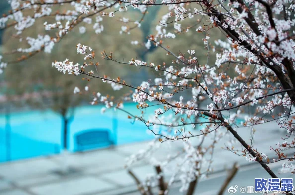 都市激情校园春色：描绘现代青春的绚丽风景与隐藏的情感冲突