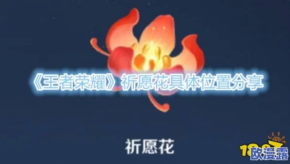 《王者荣耀》祈愿花获取攻略全解析：助你迅速提升游戏乐趣与体验
