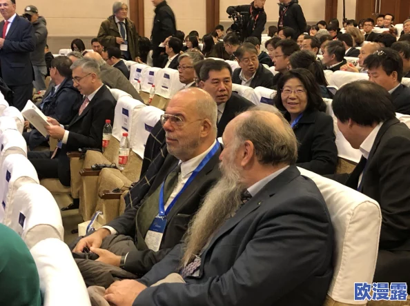 美国人ⅩXX：解构当代美国社会中的文化多样性与价值观冲突的深层因素与影响