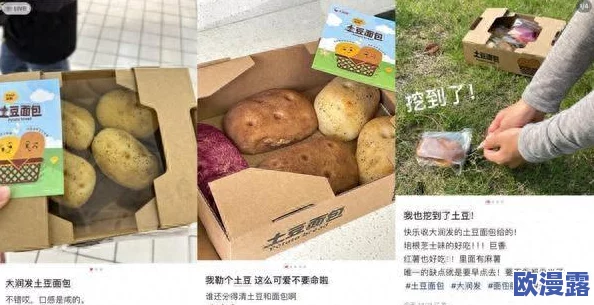 美国人ⅩXX：解构当代美国社会中的文化多样性与价值观冲突的深层因素与影响