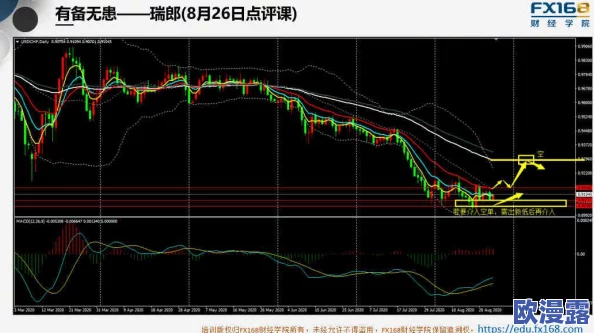 仙踪大豆行情网老狼金属：网友热议市场波动与投资机会，分析未来走势引发广泛关注