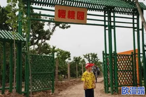 樱桃视频你比丈夫厉害：她用创意和勇气打破传统，赢得了无数观众的心与支持