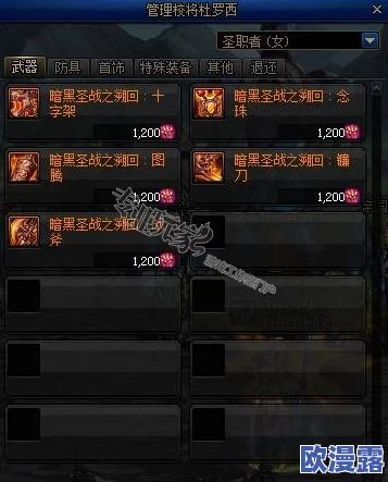 DNF游戏中哪个加13的传说装备价格最为昂贵？