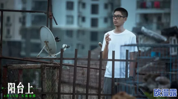 合租糙汉：解密当代年轻人共同生活中的幽默与挑战，揭示相处之道与生活趣事