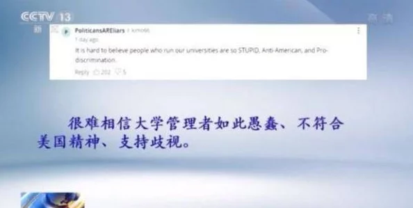 糙汉室友：多元文化碰撞下的室友关系与情感发展研究解析