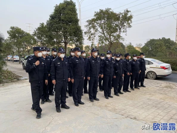 岳的好大贡献与影响，探讨其在历史、文化及社会的发展中的重要角色与意义
