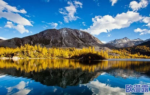 甘雨白水流淌了一地图，展现了自然之美与人文景观的完美融合，引发游客热议与关注