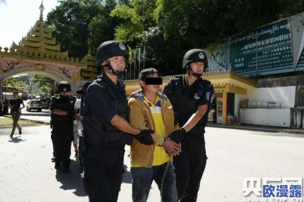 提枪进入两扇门：警方成功破获一起跨省贩毒案，抓捕嫌疑人十余名并缴获大量毒品