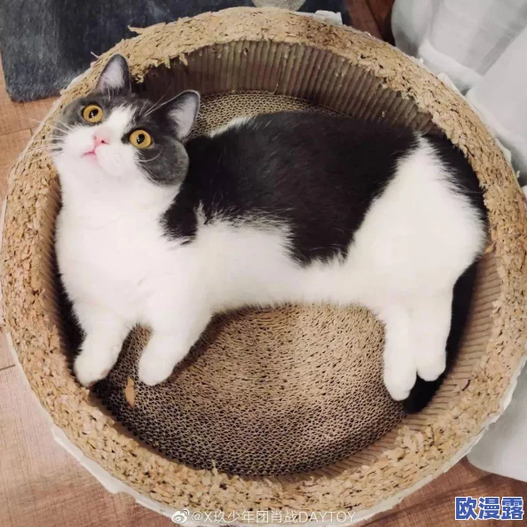 柚子猫小僵尸黑料爆料：传闻其与多位明星私下交往，背后隐藏不为人知的秘密和争议！