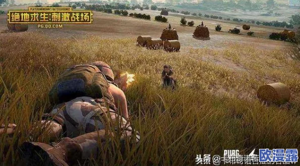 探究刺激战场具体是在哪一年正式推出的游戏 探究刺激战场具体是在哪一年正式推出的游戏