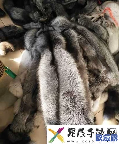 AAAA级毛皮属于什么档次？解析毛皮等级标准与市场价值对比的详细信息