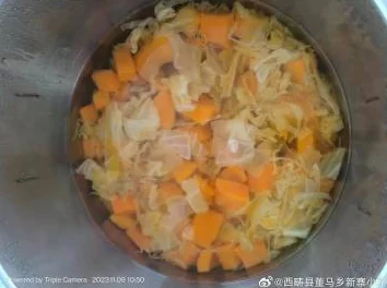 澧色母16汤不加，网友热议：这道菜的味道究竟如何？是否值得一试？大家的看法各异！