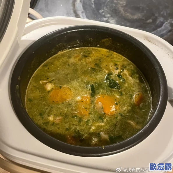 澧色母16汤不加，网友热议：这道菜的味道究竟如何？是否值得一试？大家的看法各异！