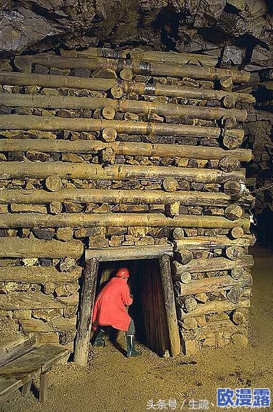 铜铜铜铜铜仁铜铜好多水:探讨贵州省铜矿资源开发对当地生态环境的影响与可持续发展策略 铜铜铜铜铜仁铜铜好多水:探讨贵州省铜矿资源开发对当地生态环境的影响与可持续发展策略