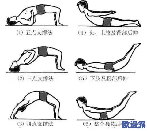 宝宝腰好会夹：研究表明婴儿的腰部发育与运动能力之间的密切关系及其对健康成长的重要性