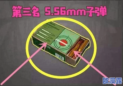 地铁逃生游戏中，哪个子弹类型性价比更高成为玩家热议话题