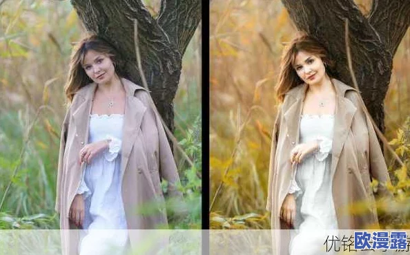 免费ps大片段视频调色，轻松提升画面质感与视觉冲击力的技巧分享