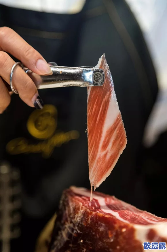 暗喻幻想破灭：细致切割与精准调味，中招肉品制作全攻略