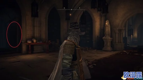 探讨艾尔登法环中,哪位伴侣角色最受欢迎及选择理由 探讨艾尔登法环中,哪位伴侣角色最受欢迎及选择理由