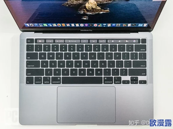 19岁MacBook Pro中国用户使用体验分享：老款设备在现代应用中的表现与升级潜力分析
