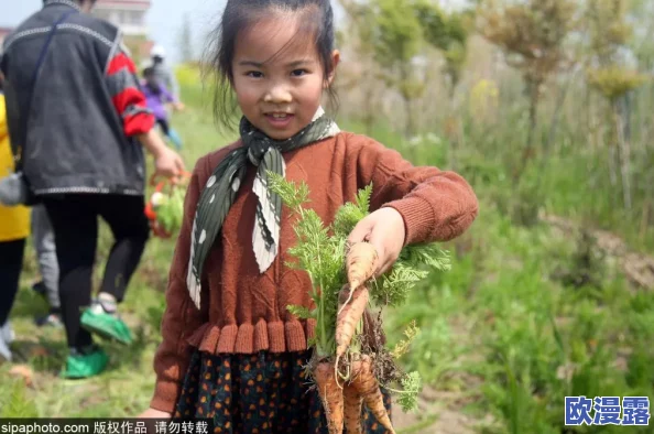 光腿拔萝卜光腿拔萝卜：网友热议这个创意地点，惊讶于其独特趣味和互动性！