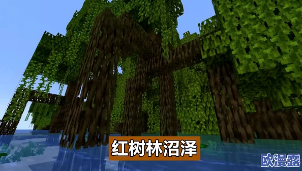 如何在《我的世界》游戏中有效找到并探索女巫小屋的攻略 如何在《我的世界》游戏中有效找到并探索女巫小屋的攻略