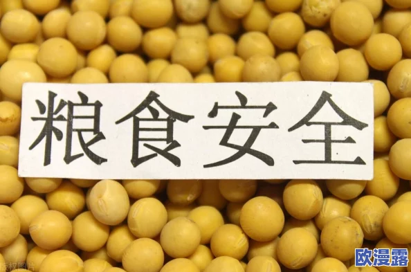震惊!啦啦啦大豆行情网51的功能介绍竟然能让农民收入翻倍,实时数据助你掌握市场动态! 震惊!啦啦啦大豆行情网51的功能介绍竟然能让农民收入翻倍,实时数据助你掌握市场动态!