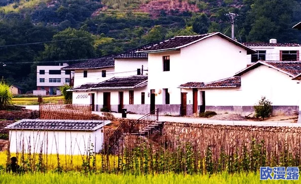 燕姐放羊老人户外:探讨乡村振兴背景下的传统牧羊文化与现代生活方式的融合研究 燕姐放羊老人户外:探讨乡村振兴背景下的传统牧羊文化与现代生活方式的融合研究